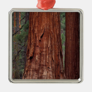 North America, USA, California, Yosemite NP, 2 Metal Tree Decoration