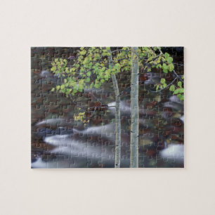 North America, USA, Colorado, San Juan Jigsaw Puzzle