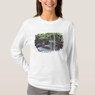 North America, USA, Colorado, San Juan T-Shirt