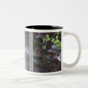 North America, USA, Colorado, San Juan Two-Tone Coffee Mug