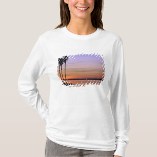 North America, USA, Florida, Mt. Dora, a trio T-Shirt