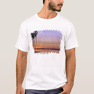 North America, USA, Florida, Mt. Dora, a trio T-Shirt