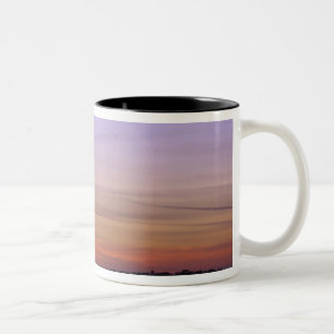 North America, USA, Florida, Mt. Dora, a trio Two-Tone Coffee Mug