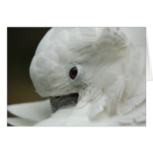 North America, USA, Florida, St. Augustine