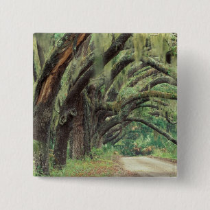 North America, USA, Georgia, Cumberland 2 15 Cm Square Badge