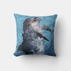 North America, USA, Hawaii. Dolphin Cushion