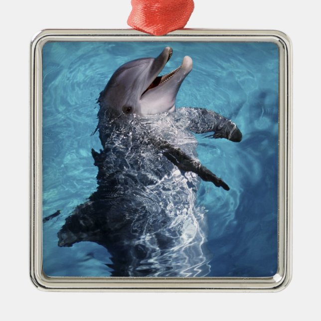North America, USA, Hawaii. Dolphin Metal Tree Decoration (Front)