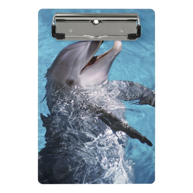 North America, USA, Hawaii. Dolphin Mini Clipboard (Front)