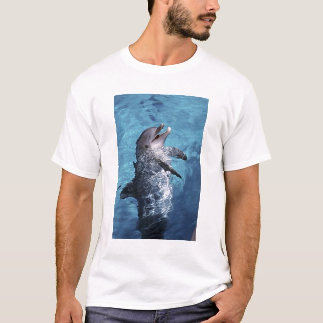 North America, USA, Hawaii. Dolphin T-Shirt (Front)
