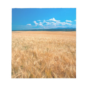 North America, USA, Idaho. Barley field in Notepad