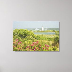 North America, USA, Massachusetts, Martha's Canvas Print