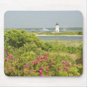 North America, USA, Massachusetts, Martha's Mouse Mat