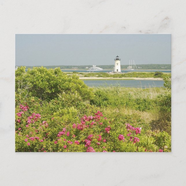 North America, USA, Massachusetts, Martha's Postcard (Front)