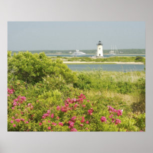 North America, USA, Massachusetts, Martha's Poster