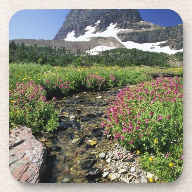 North America, USA, Montana, Glacier National 3 Coaster (Front)