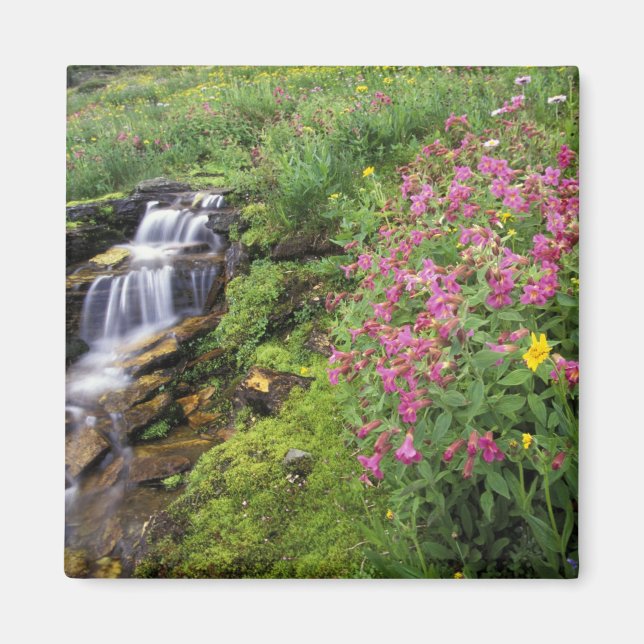 North America, USA, Montana, Glacier National 4 Magnet (Front)