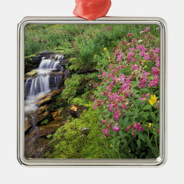 North America, USA, Montana, Glacier National 4 Metal Tree Decoration (Front)