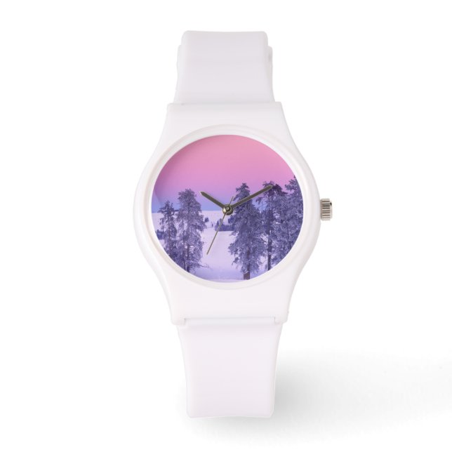 North America, USA, Montana, Yellowstone Watch (Front)