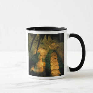 North America, USA, New Mexico, Carlsbad Mug