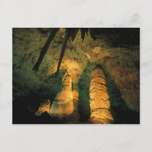 North America, USA, New Mexico, Carlsbad Postcard