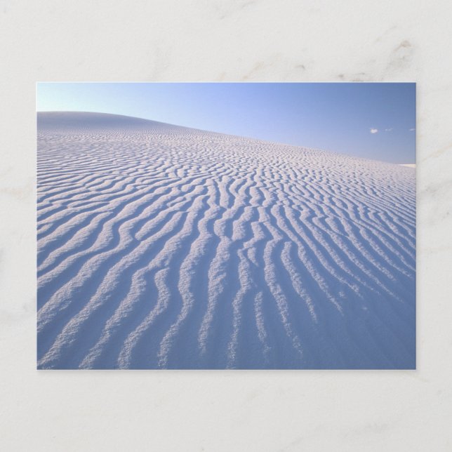North America, USA, New Mexico, White Sand Dunes Postcard (Front)