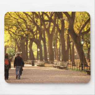 North America, USA, New York, New York City. 11 Mouse Mat