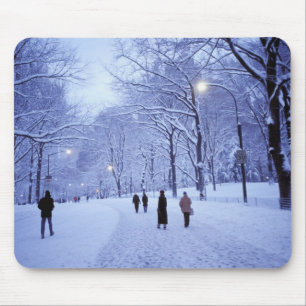 North America, USA, New York, New York City. 8 Mouse Mat