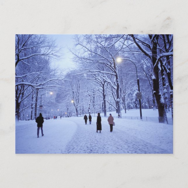 North America, USA, New York, New York City. 8 Postcard (Front)