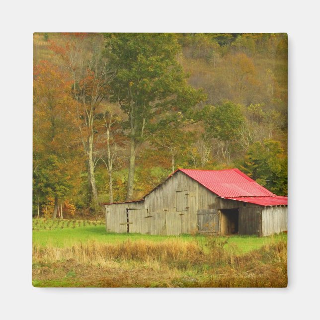 North America, USA, North Carolina, rural Magnet (Front)