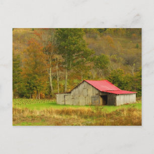 North America, USA, North Carolina, rural Postcard