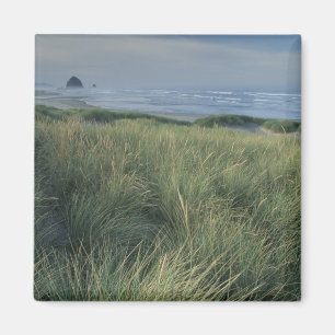 North America, USA, Oregon, Canon Beach, Magnet