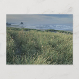 North America, USA, Oregon, Canon Beach, Postcard