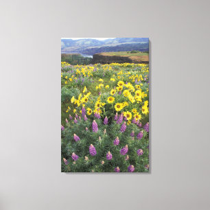 North America, USA, Oregon, Columbia River 2 Canvas Print