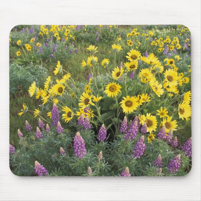North America, USA, Oregon, Columbia River Mouse Mat (Front)