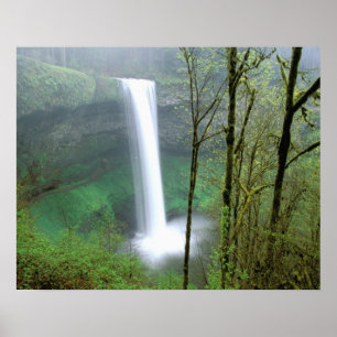 North America, USA, Oregon, Silver Falls State Poster
