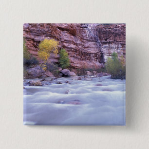 North America, USA, Utah, Zion National Park. 2 15 Cm Square Badge