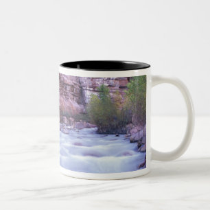 North America, USA, Utah, Zion National Park. 2 Two-Tone Coffee Mug