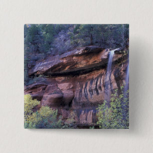 North America, USA, Utah, Zion National Park. 3 15 Cm Square Badge