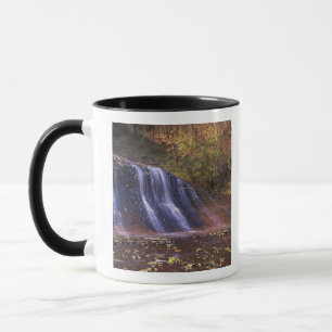 North America, USA, Utah, Zion National Park. Mug