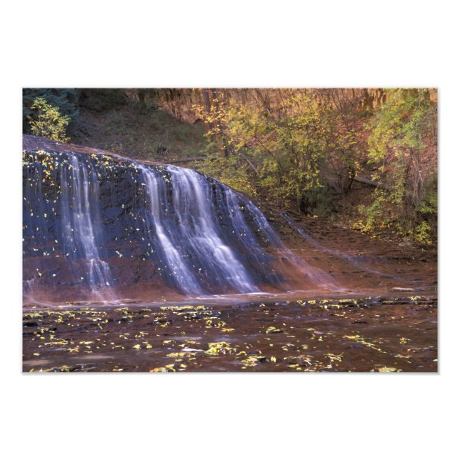 North America, USA, Utah, Zion National Park. Photo Print (Front)