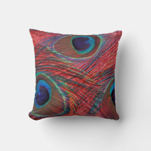 North America, USA, WA, Redmond, Peacock Cushion