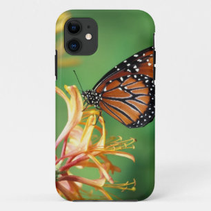 North America, USA, WA, Seattle, Woodland Park iPhone 11 Case