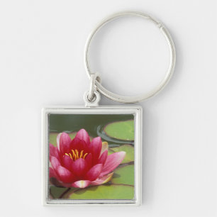 North America, USA, WA, Seattle, Woodland Park Key Ring