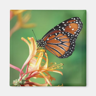 North America, USA, WA, Seattle, Woodland Park Magnet