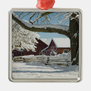 North America, USA, WA, Whidbey Island. 2 Metal Tree Decoration