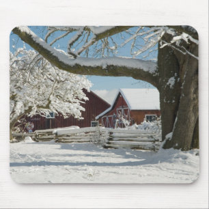 North America, USA, WA, Whidbey Island. 2 Mouse Mat