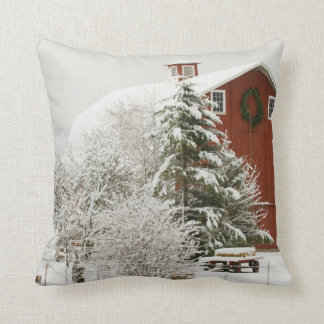 North America, USA, WA, Whidbey Island. Cushion