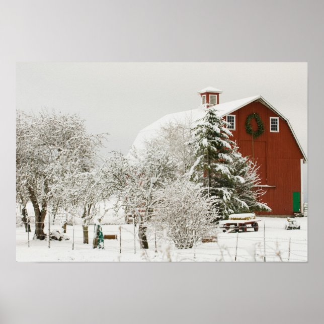 North America, USA, WA, Whidbey Island. Poster (Front)