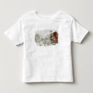 North America, USA, WA, Whidbey Island. Toddler T-Shirt