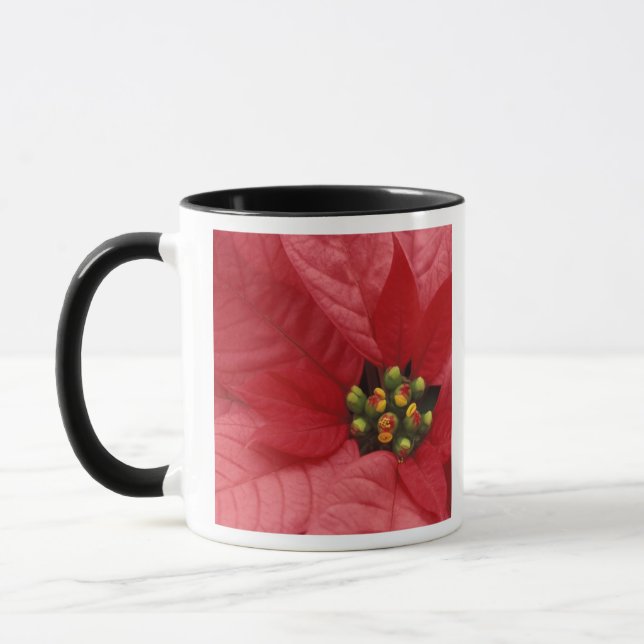 North America, USA, WA, Woodinville, Red 2 Mug (Left)